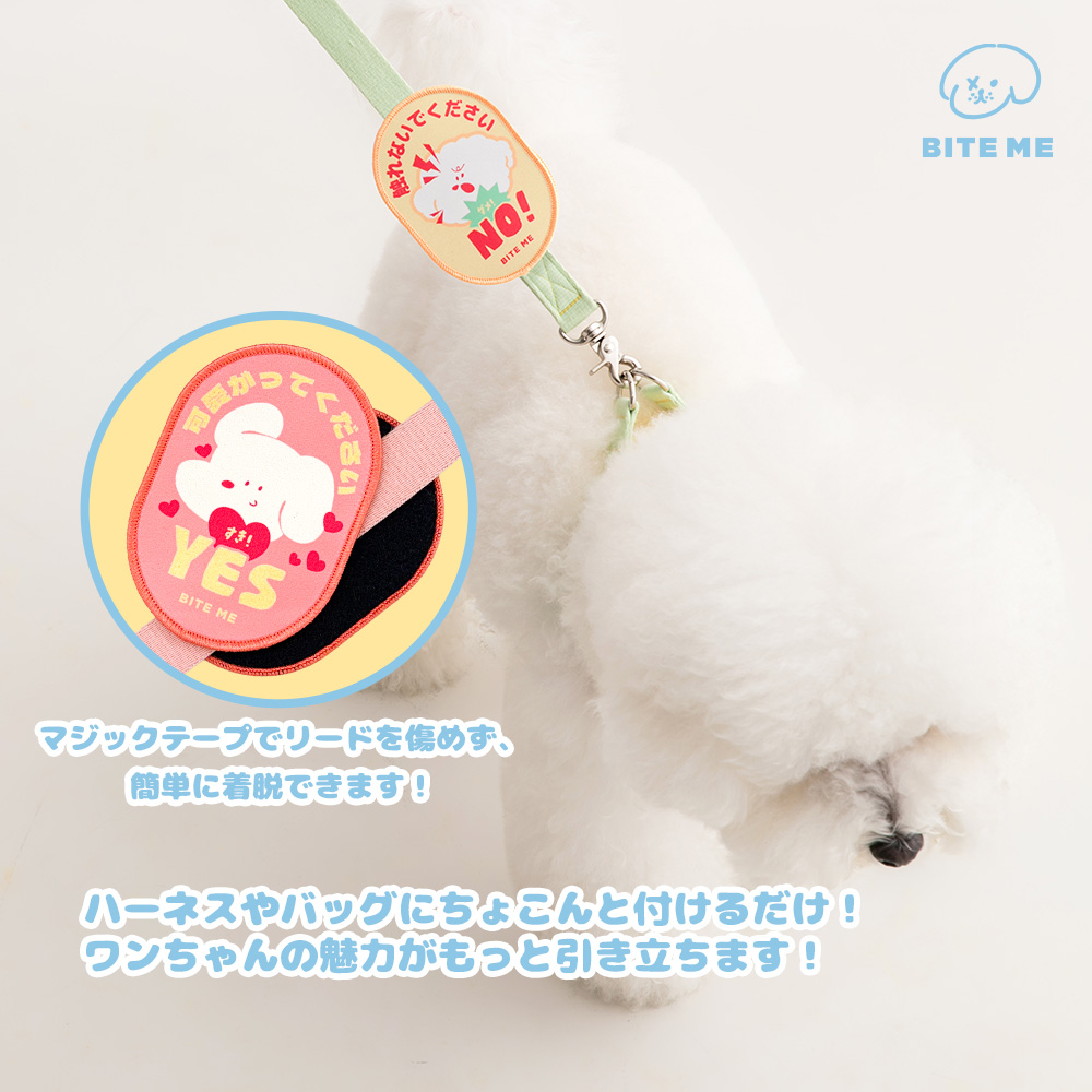 Weeekly マンデー Monday 日本 ペンコン MD トレカ 2枚セット Weeekly マンデー Monday 日本 ペンコン MD トレカ 2枚セット